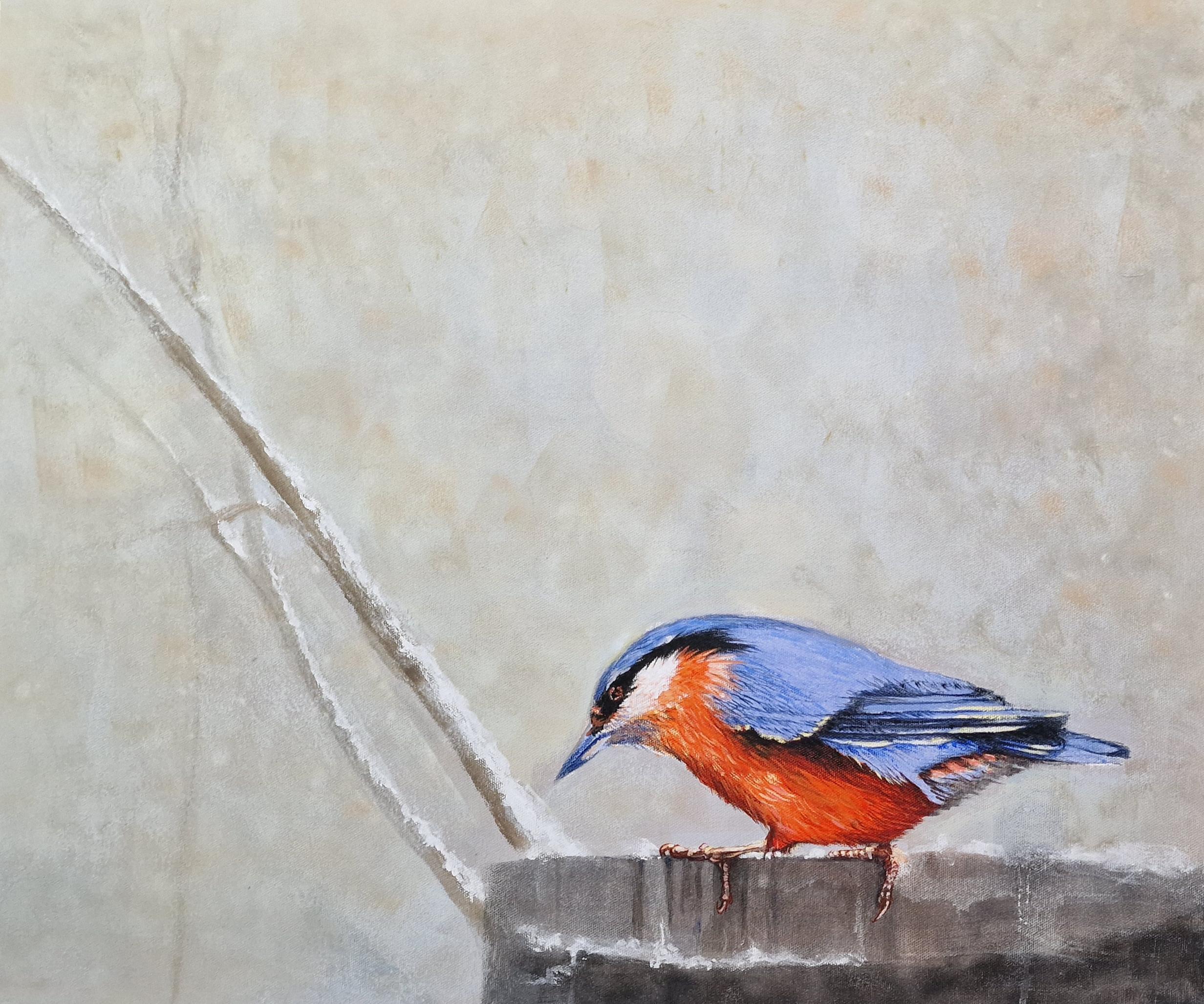 Color in winter