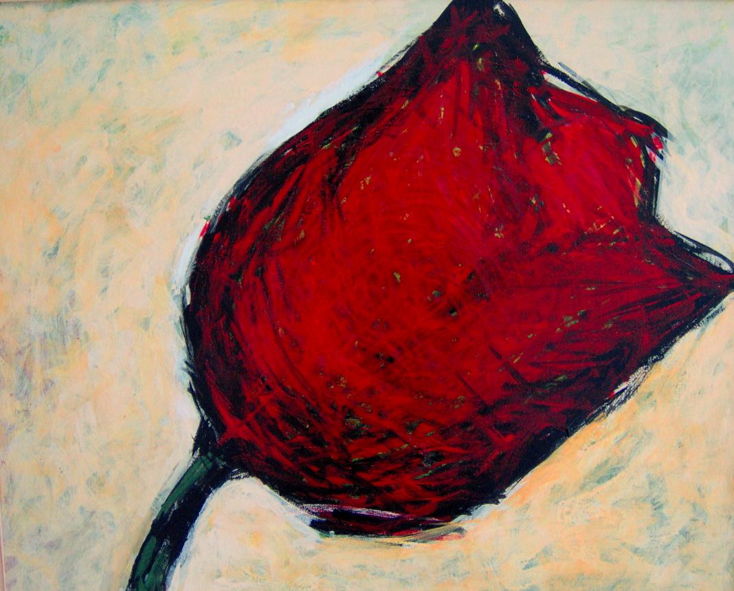 Tulip