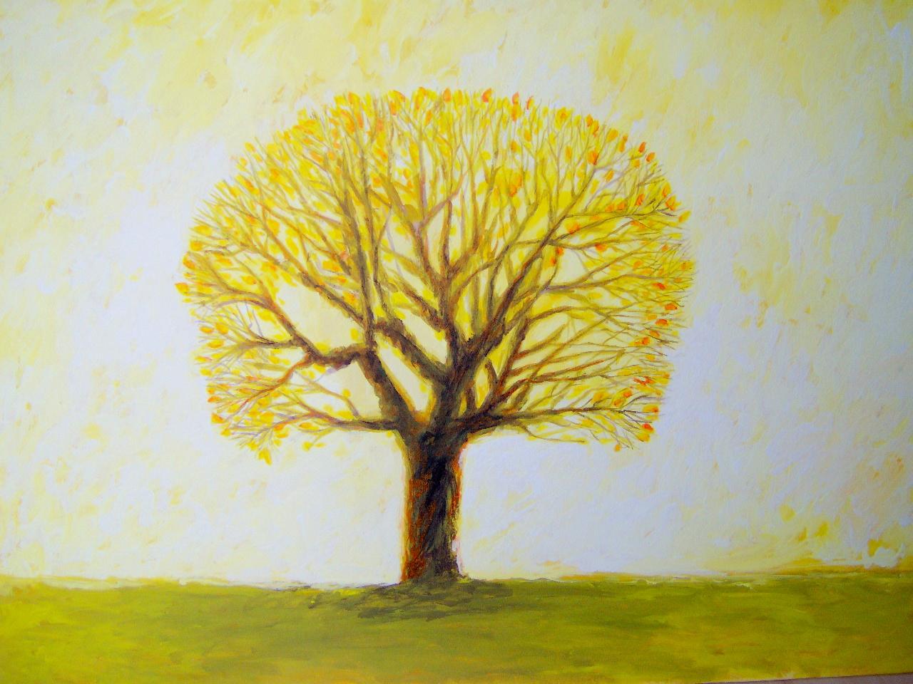 Trees 11